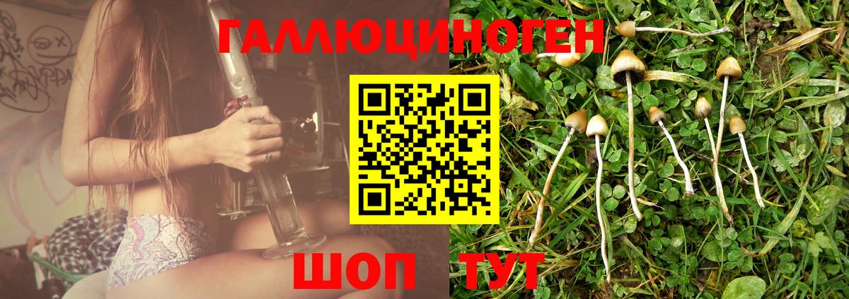Галлюциногенные грибы мицелий  Псилоцибиновые грибы мицелий  Вход с VPN  Янаул 